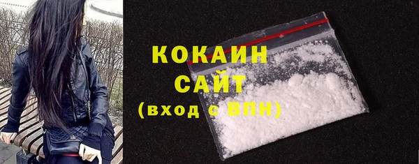 mix Богородицк