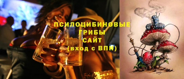 а пвп мука Белокуриха